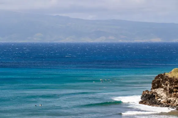 カジノ トゥー ファット レイディーズ ビンゴ サポート